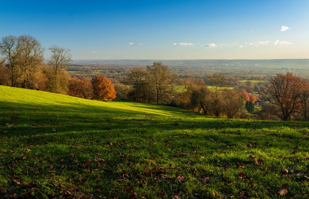 West Malling: Charm and Character